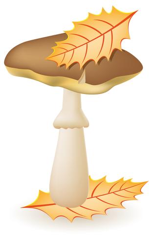  mushroom greasers vector illustration