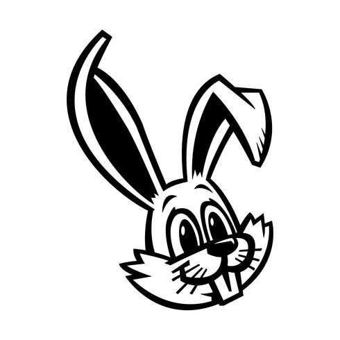 Cartoon bunny rabbit graphic vector