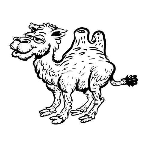 Caricatura de camello vector