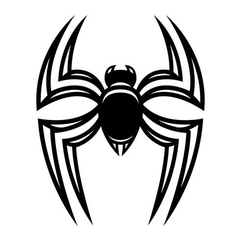Spider insect bug vector