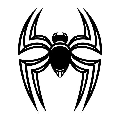 Spider insect bug vector