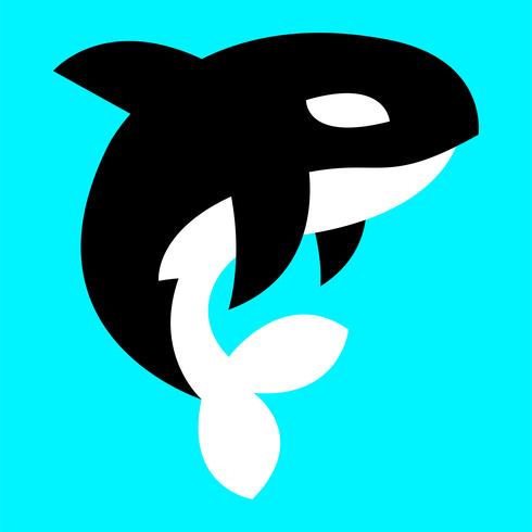 Orca asesina orca ilustración vector