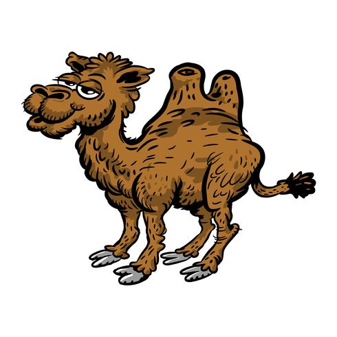Caricatura de camello vector
