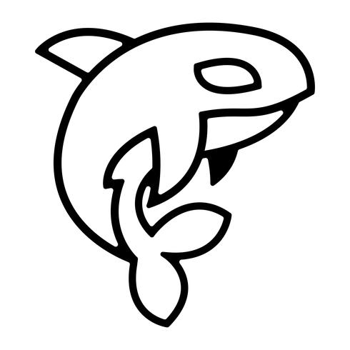 Killer Whale Orca illustration vector