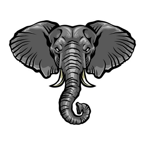 Ilustración de dibujos animados enojado elefante vector