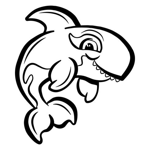 Killer Whale Orca illustration vector