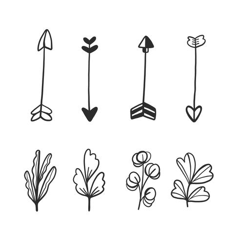 Doodle Arrows And Leaves Collection vector