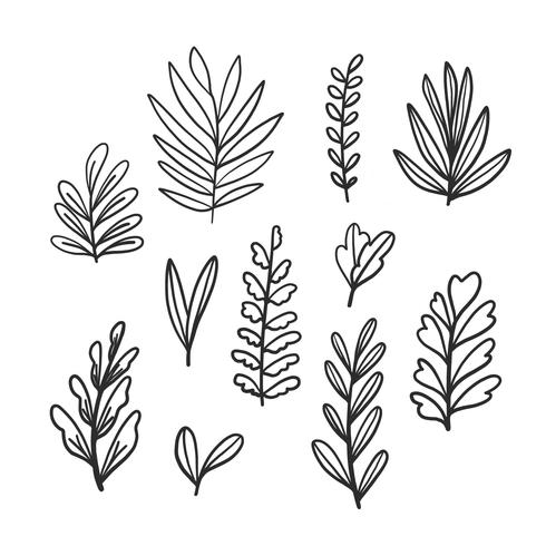 Doodle Leaves Collection Set vector