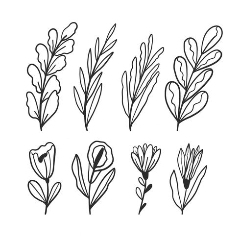 Hand Drawn Leaves And Flowers Collection vector