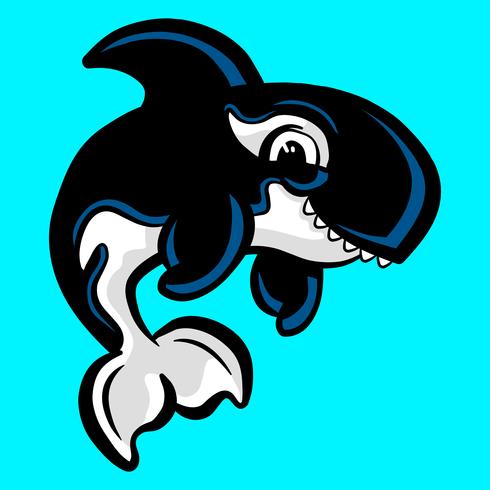 Killer Whale Orca illustration vector