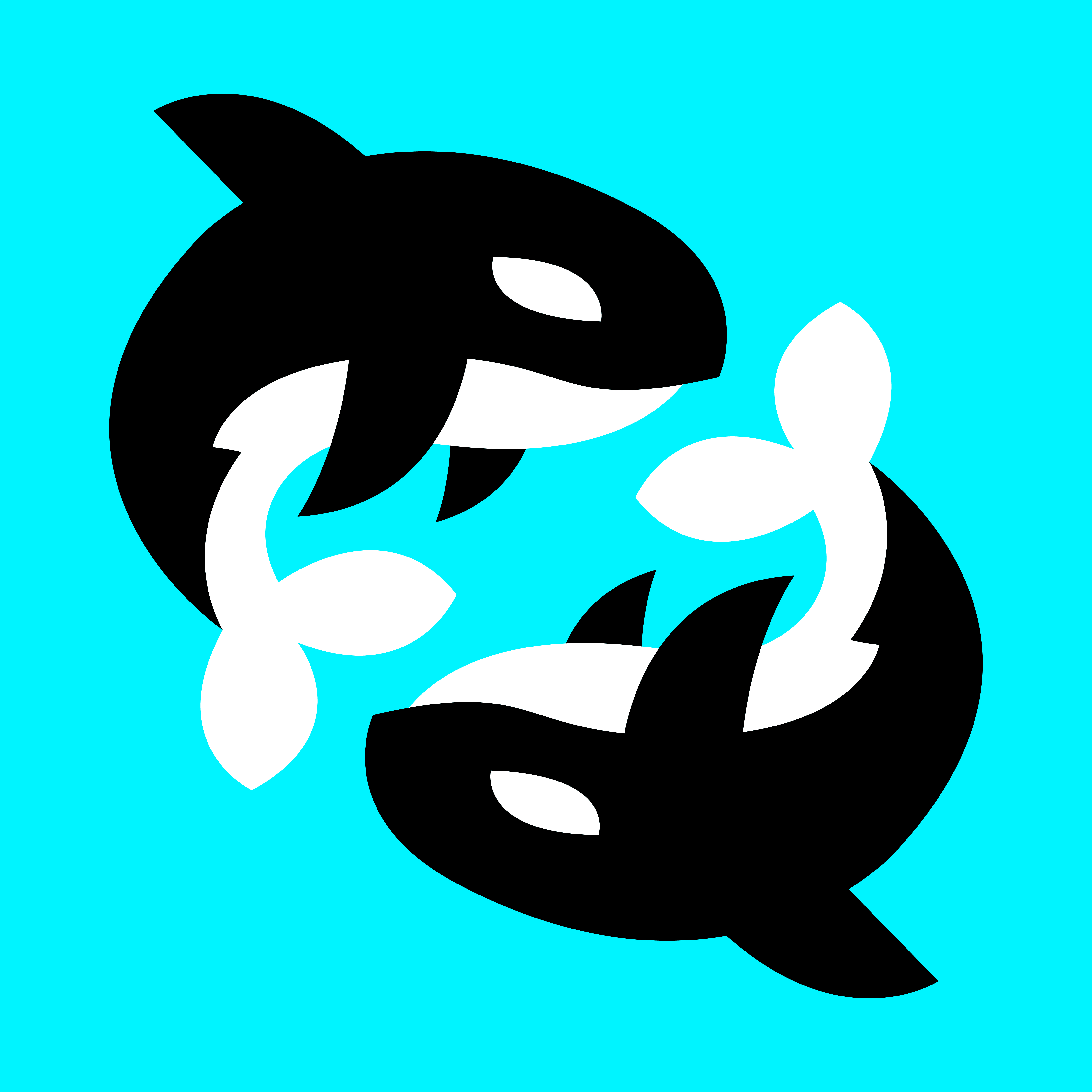Download Killer Whale Orca illustration - Download Free Vectors ...
