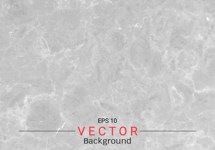 Gray marble texture. vector