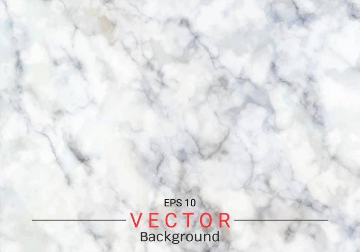 White gray marble texture. vector