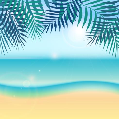 Nature summer vacation tropical background with green palm leaf or coconut leaf on the beach and sun, sky, sea. vector