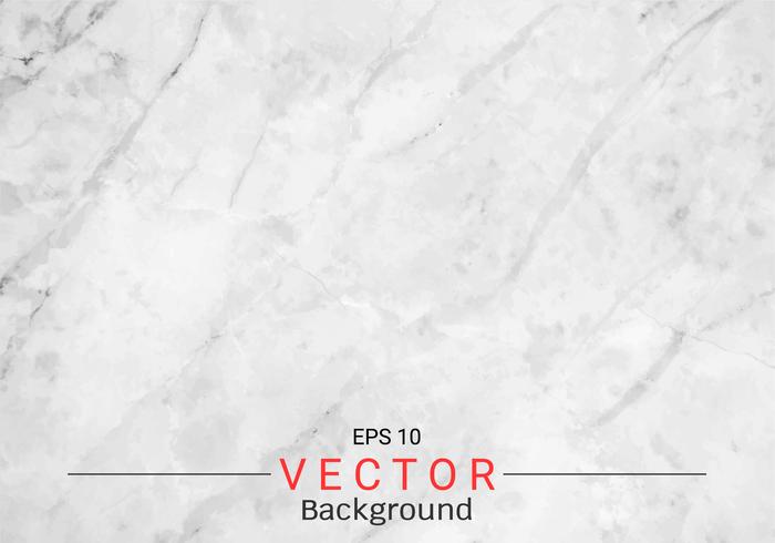 White gray marble texture. vector