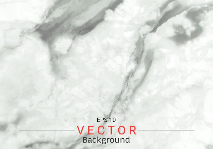 White gray marble texture. vector