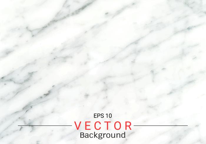 White gray marble texture. vector