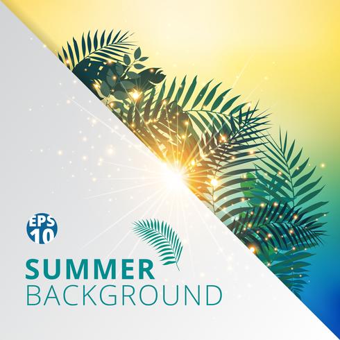 summer tropical with exotic palm leaves or plants and lighting effect on white paper background. vector