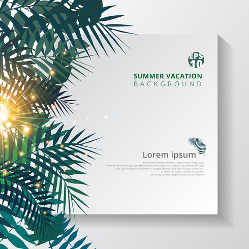 summer tropical with exotic palm leaves or plants and lighting effect on white paper background.  vector