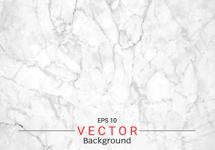 White gray marble texture. vector