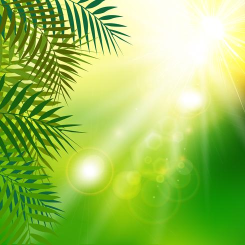 Summer fresh green leaves with sunlight on natural background. vector