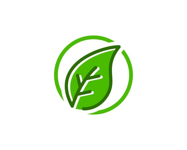 Hoja Natural Logo Icon Vector