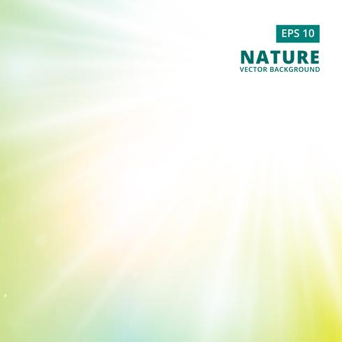 Sparkling sunlight and flares of light from the sides on a green background of nature. vector background 