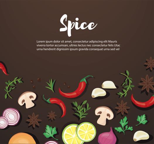 Especias y alimentos vegetales de fondo y espacio para escribir. vector