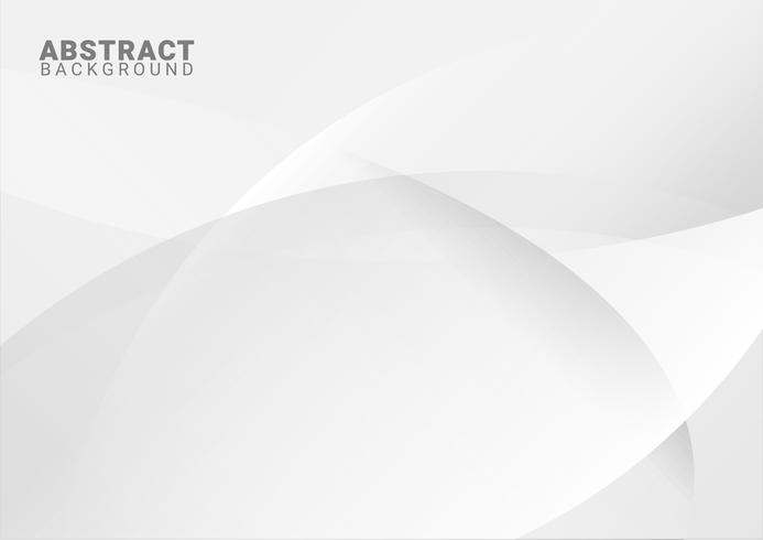 abstract white background with smooth lines vector