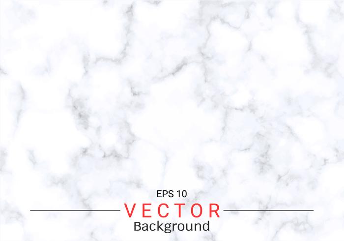 White marble texture. vector