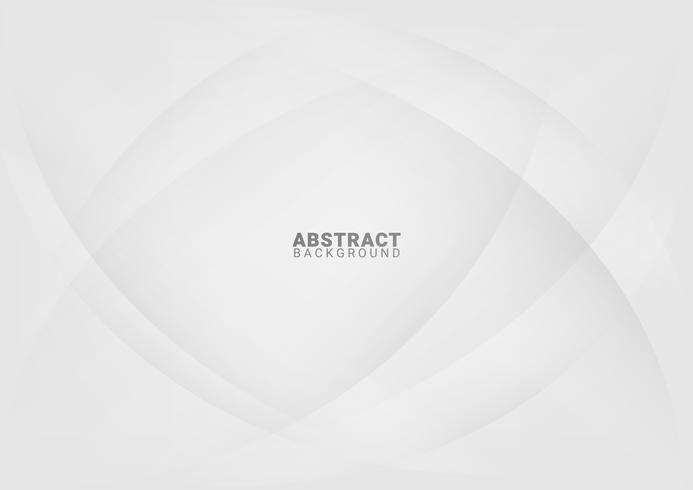 abstract white background with smooth lines vector