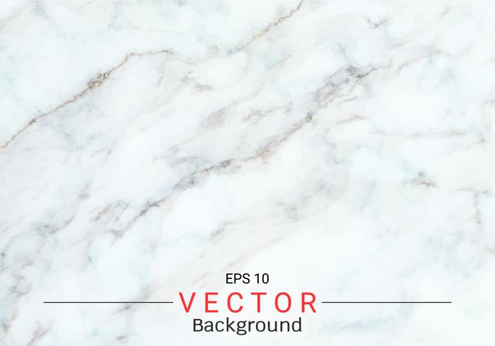 White gray marble texture. vector