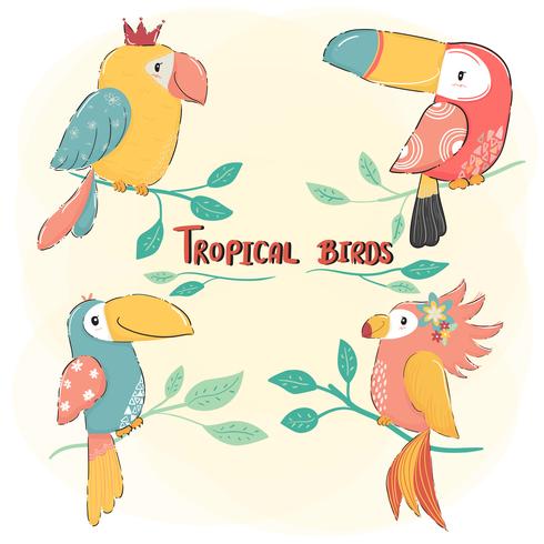 cute drawing flat vector tropical bird set, colorful summer