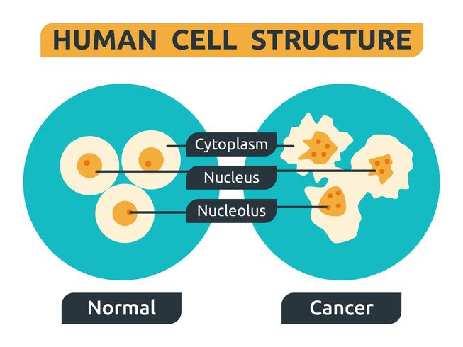 Cell vector