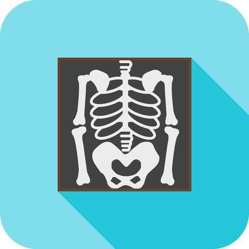 Skeleton Flat Long Shadow Icon vector