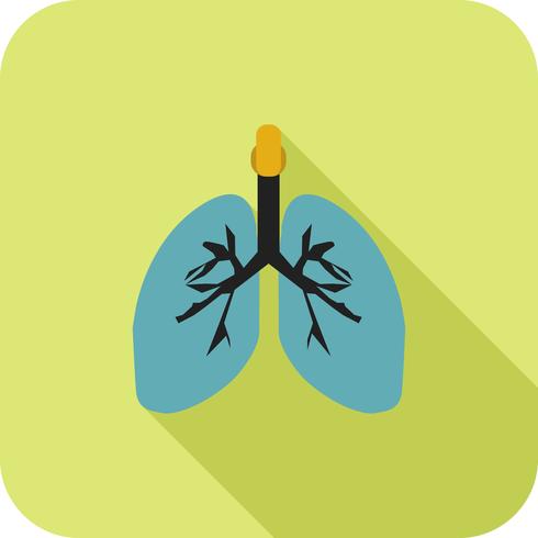 Pulmones plana larga sombra icono vector