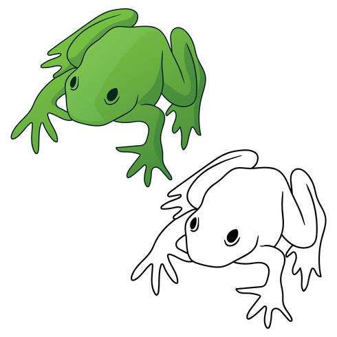 Frog in both full color green tones and black outline version isolated vector illustration