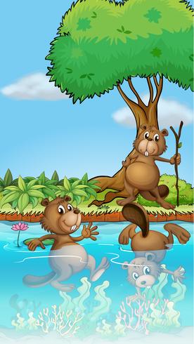 Three beavers playing at the river vector