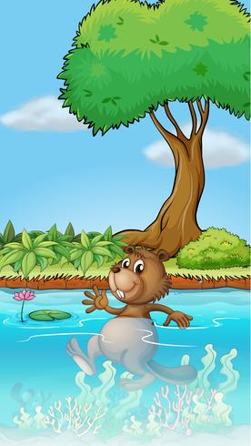 A swimming beaver vector