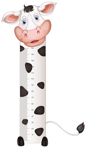 Measuring height scales on paper with cow vector