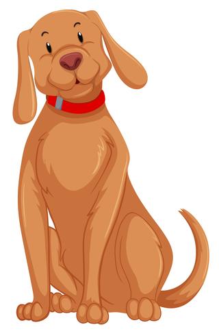 A cute dog character vector