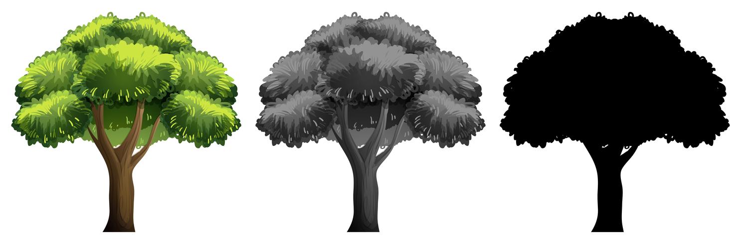 Conjunto de arbol aislado vector