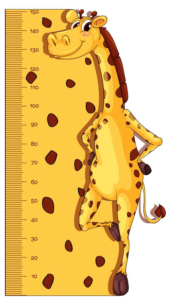 Height measurement chart with giraffe in background 549522 Vector Art at Vecteezy