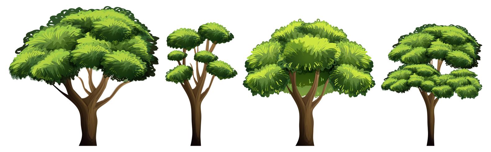 Conjunto de diferentes arboles vector