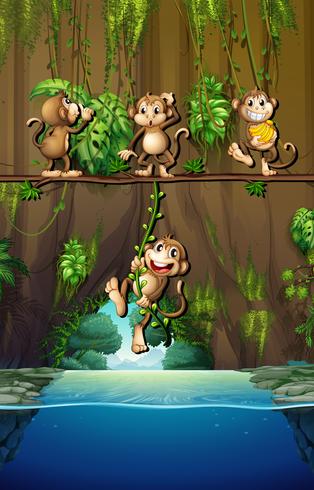 Scene with monkeys and river vector