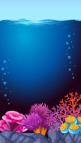 An beautiful underwater template vector