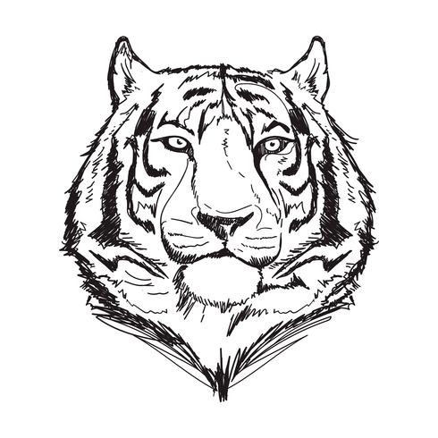 Ilustración de vector de línea tigre arte