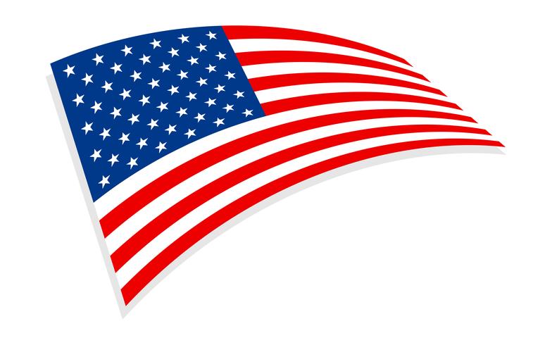 American Flags vector