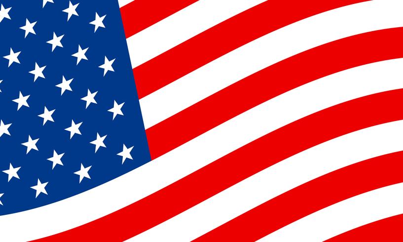 American Flags vector