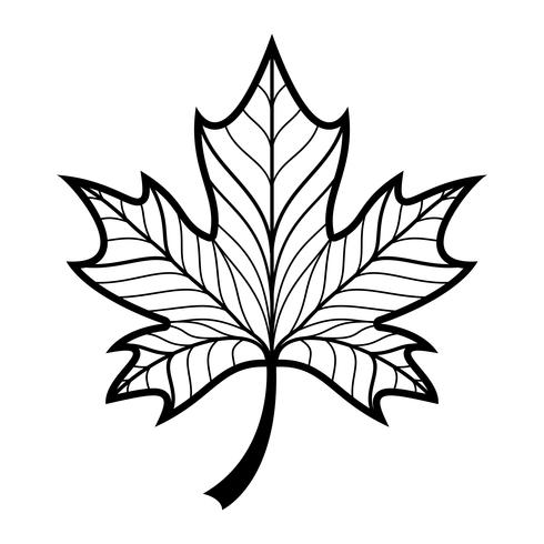 Autumn Maple Leaf vector logo